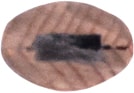 Lápiz de carboncillo tradicional para carpinteros (ref.ª1019)