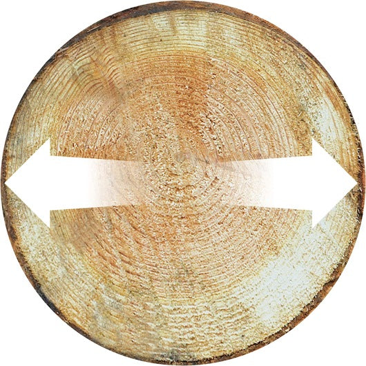 Black&Decker (GTC1843L-QW) 18V Lithium Pole Hedge Trimmer