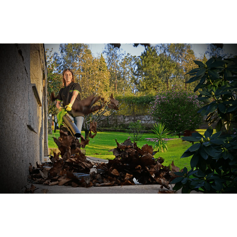 Soprador/Aspirador de Folhas Vito (VIAS3000A) 3000W