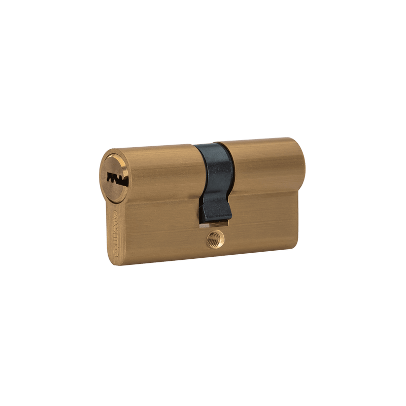 Vito (VICFS) Cylinder Door Lock with Security Keys