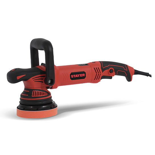 Polidora Stayer (RP 15)