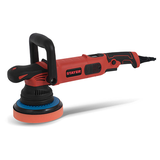 Polidora Stayer (RP 21 DIGITAL)